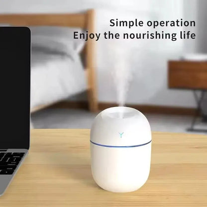 Portable Mini Humidifier with Nano Mist & Colorful Lights