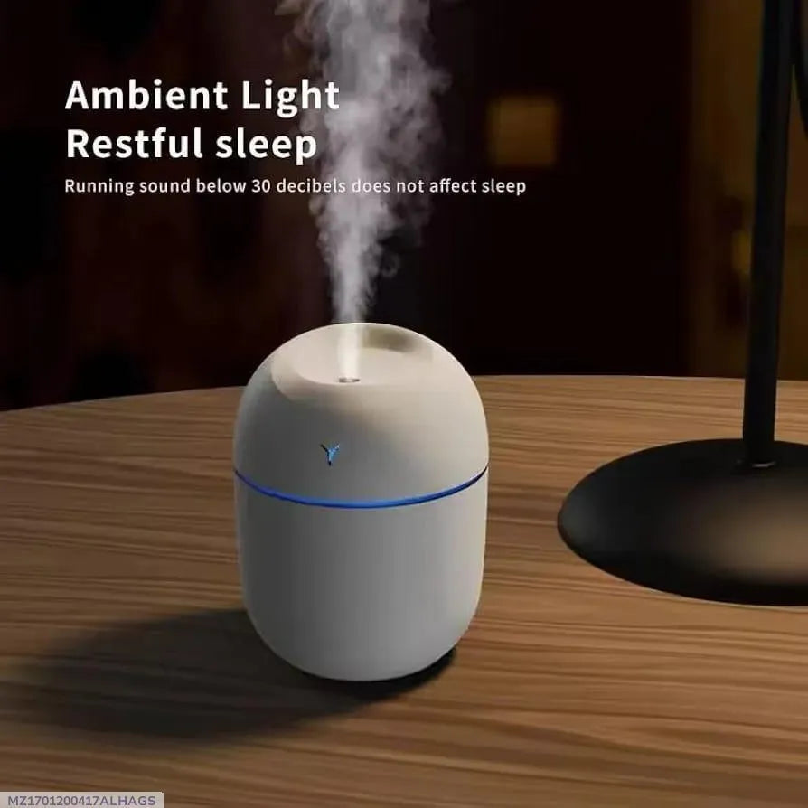 Portable Mini Humidifier with Nano Mist & Colorful Lights